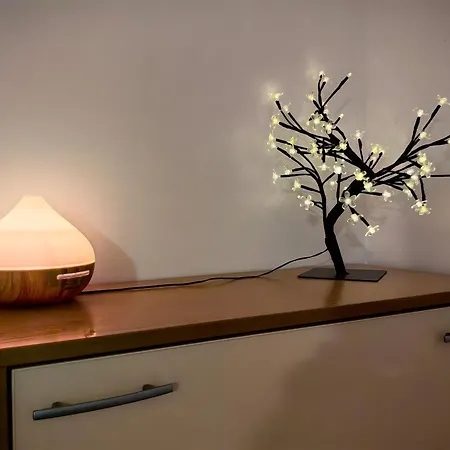 Niko Slantchev Briag