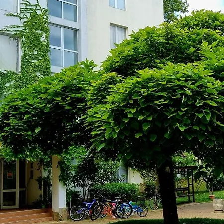 Niko * Slantchev Briag