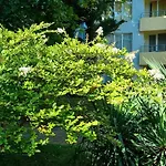Appartement Niko *