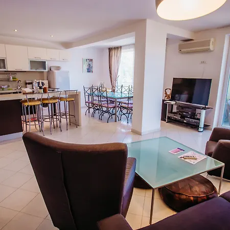 Niko * Słoneczny Brzeg