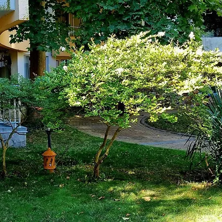 Niko * Słoneczny Brzeg