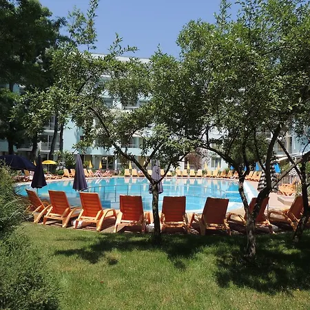 Niko Słoneczny Brzeg