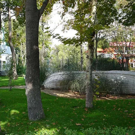 Niko Słoneczny Brzeg